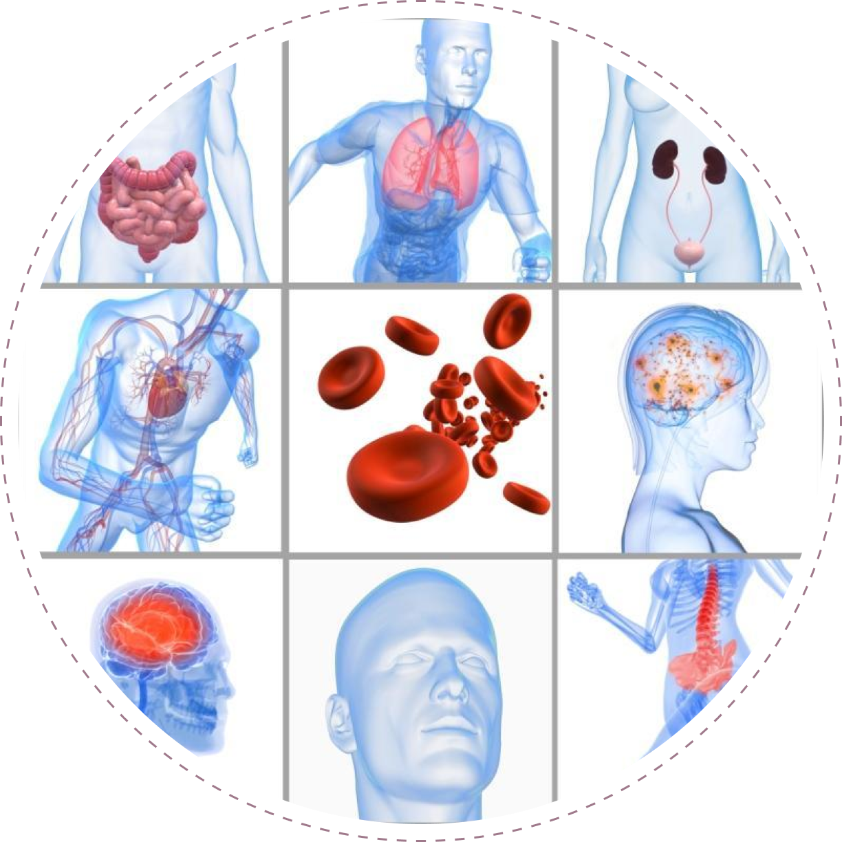 Claudia Stroia Bilan Bioresonance Nice Diagnostic